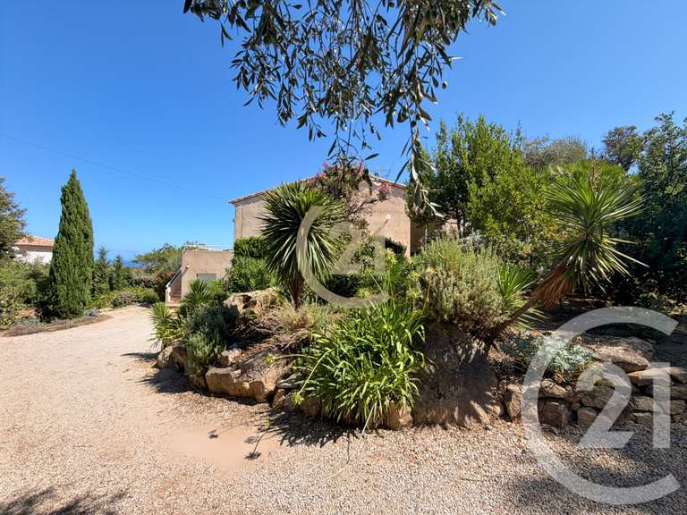 Maison avec Vue sur mer Monticello - 5 chambres - 145m²