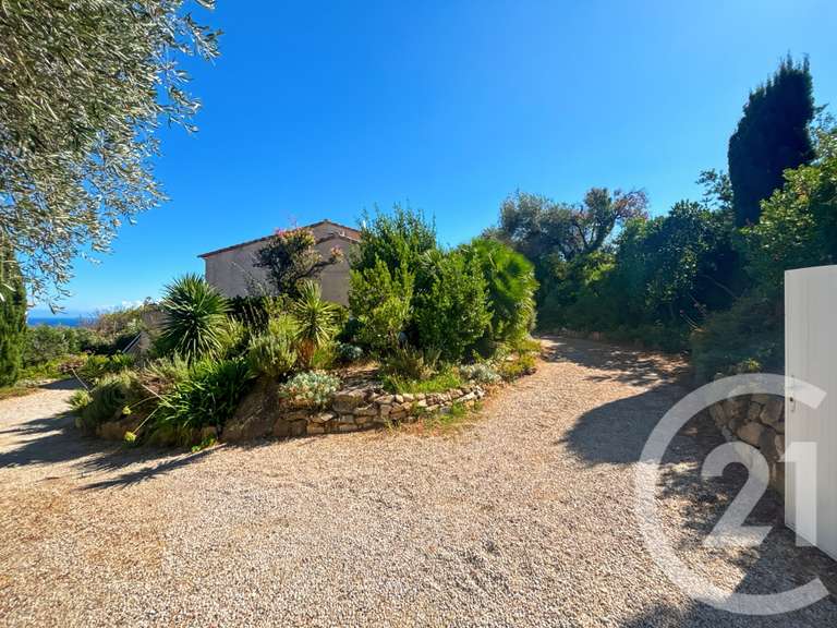 Maison avec Vue sur mer Monticello - 5 chambres - 145m²