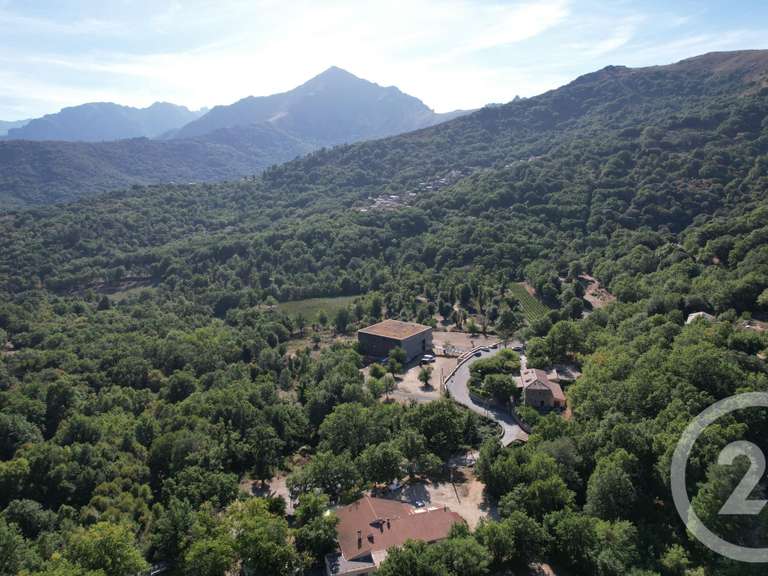 Maison Pioggiola - 5 chambres - 416m²