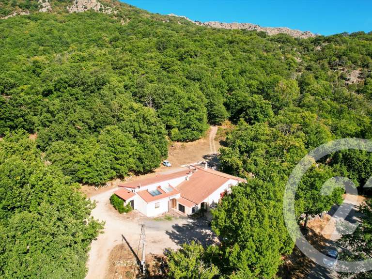 Maison Pioggiola - 5 chambres - 416m²