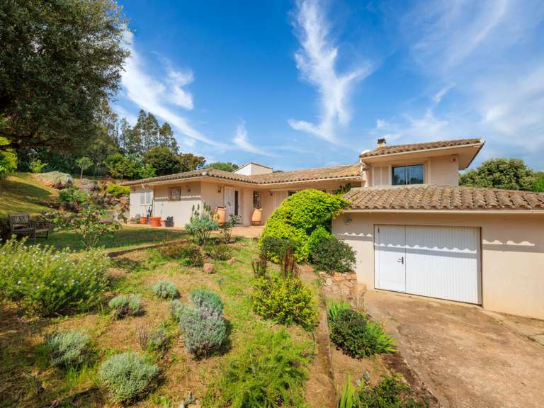 Maison Porto-Vecchio - 4 chambres - 215m²