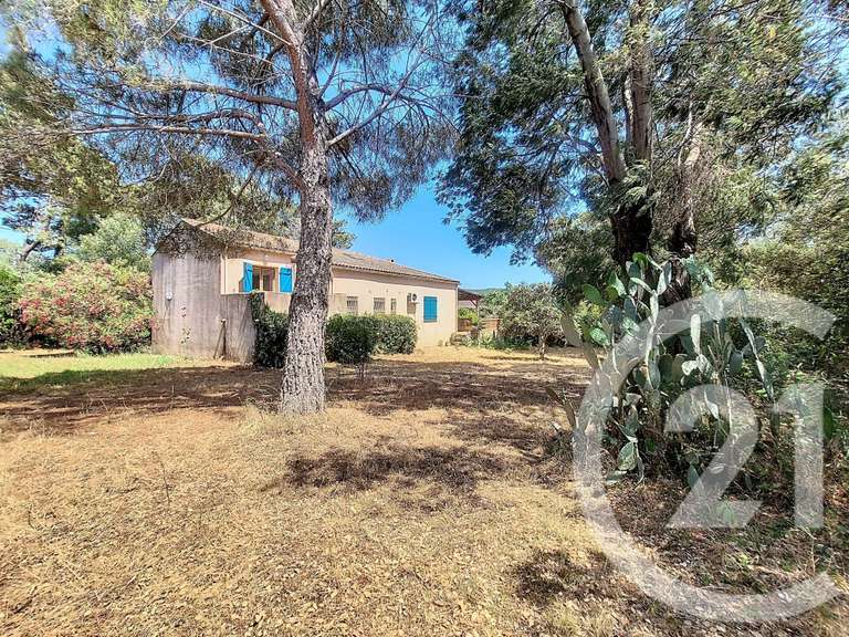 Maison Porto-Vecchio - 3 chambres - 104m²