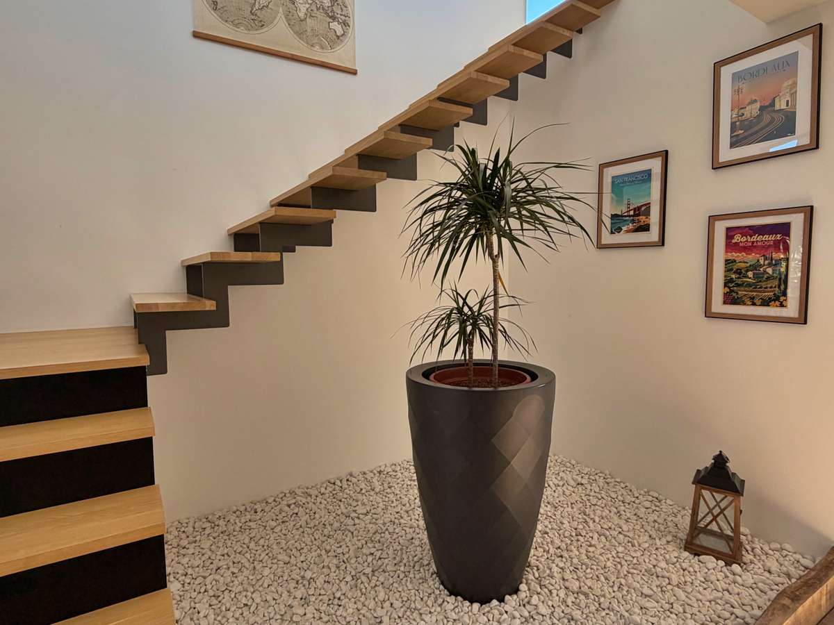 House Fargues-Saint-Hilaire