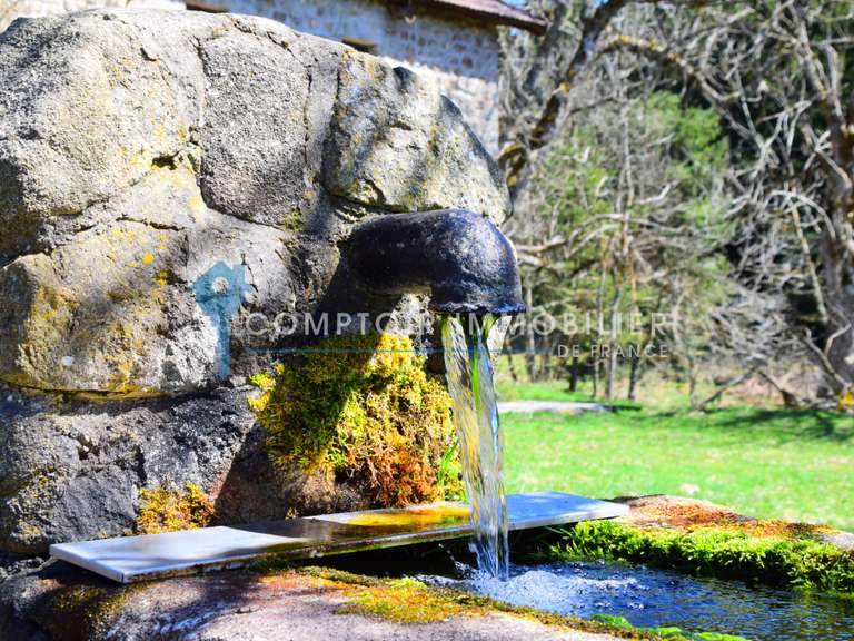 House Saint-Cirgues-en-Montagne - 6 bedrooms
