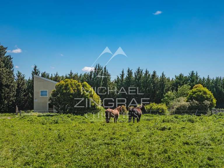 Maison Avignon - 8 chambres - 700m²
