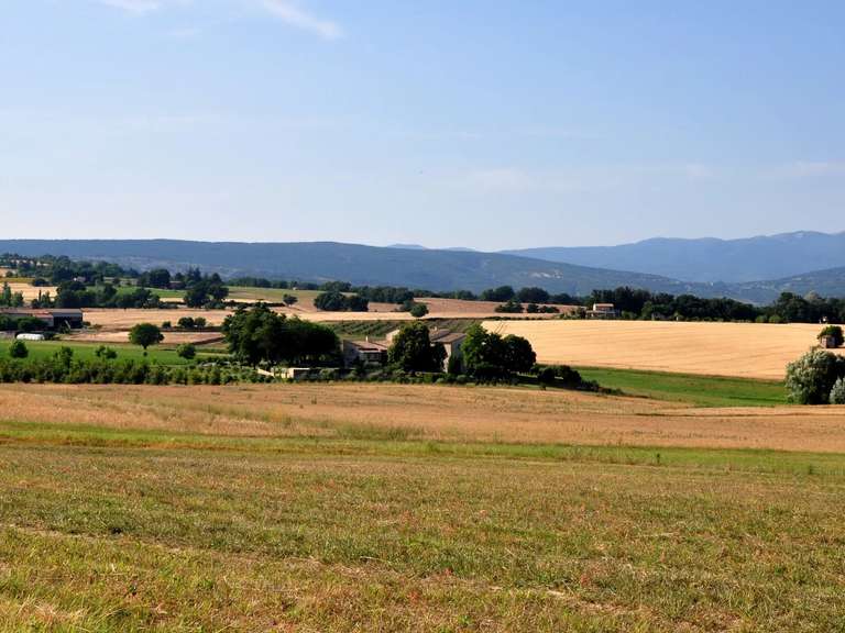 House Forcalquier - 7 bedrooms - 500m²