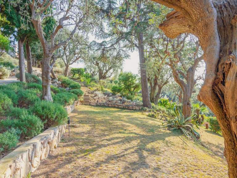 Maison Saint-Jean-Cap-Ferrat - 7 chambres - 595m²
