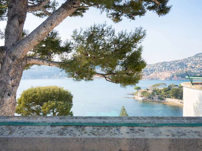 Maison Saint-Jean-Cap-Ferrat - 7 chambres - 595m²