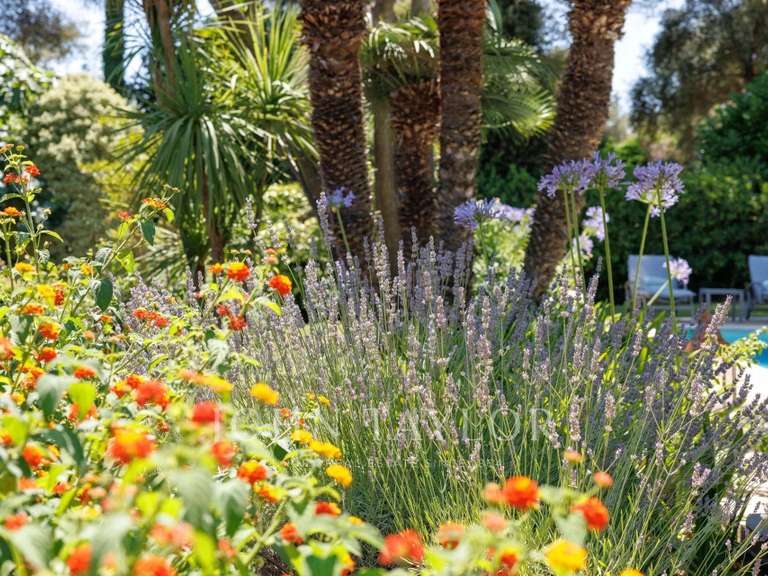 House Saint-Paul-de-Vence - 5 bedrooms - 233m²