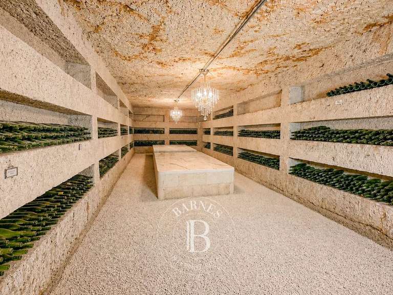Maison Monthou-sur-Cher - 7 chambres - 241m²