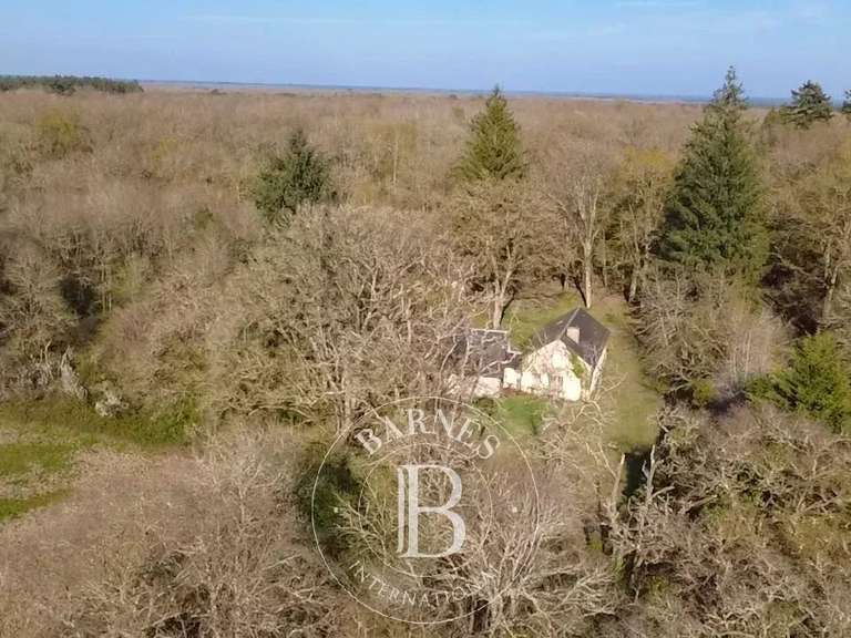 Maison Salbris - 4 chambres - 300m²