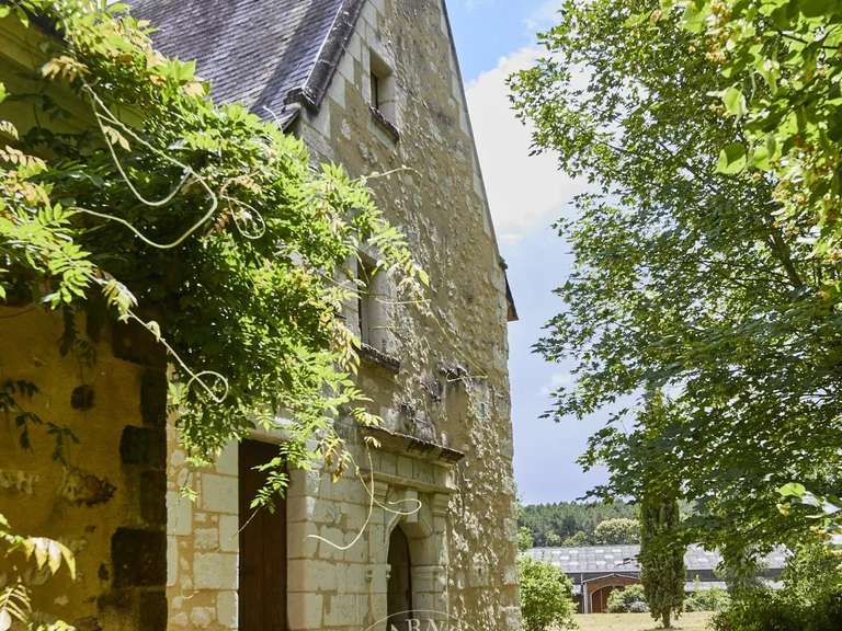Maison Baugé-en-Anjou - 7 chambres - 570m²