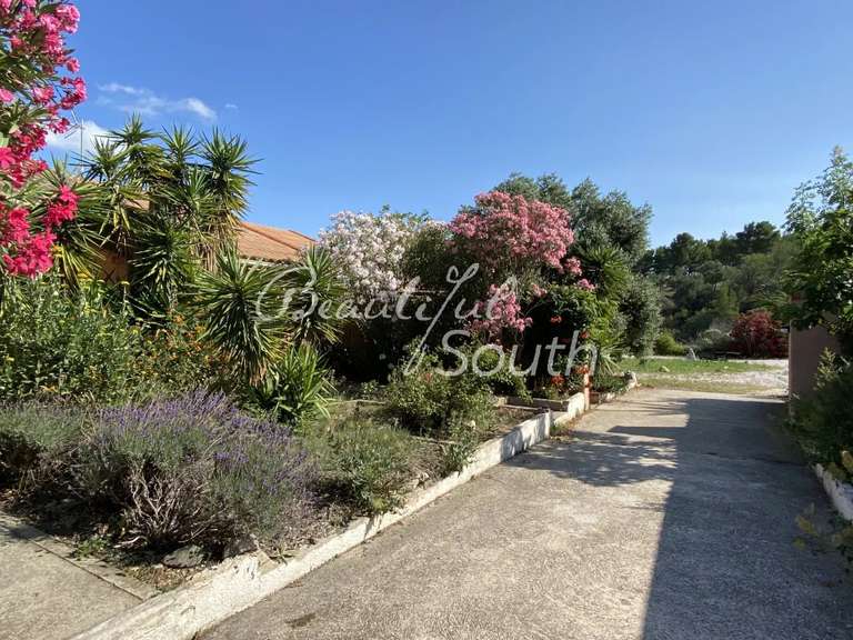Maison Perpignan - 12 chambres - 647m²