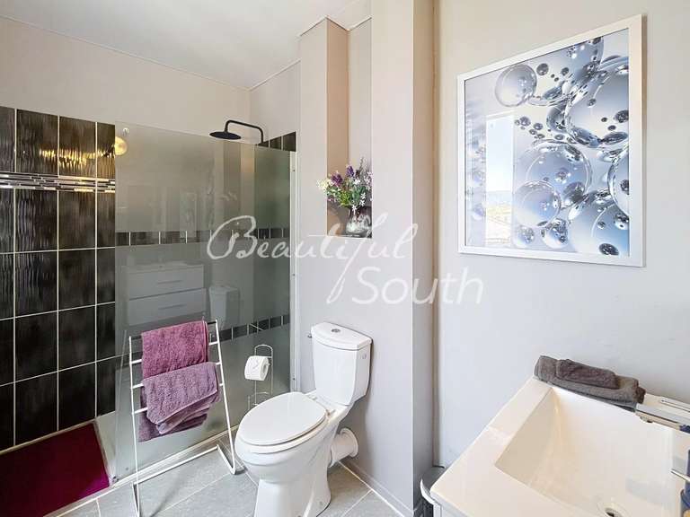 Maison Saint-Laurent-de-la-Cabrerisse - 4 chambres - 260m²