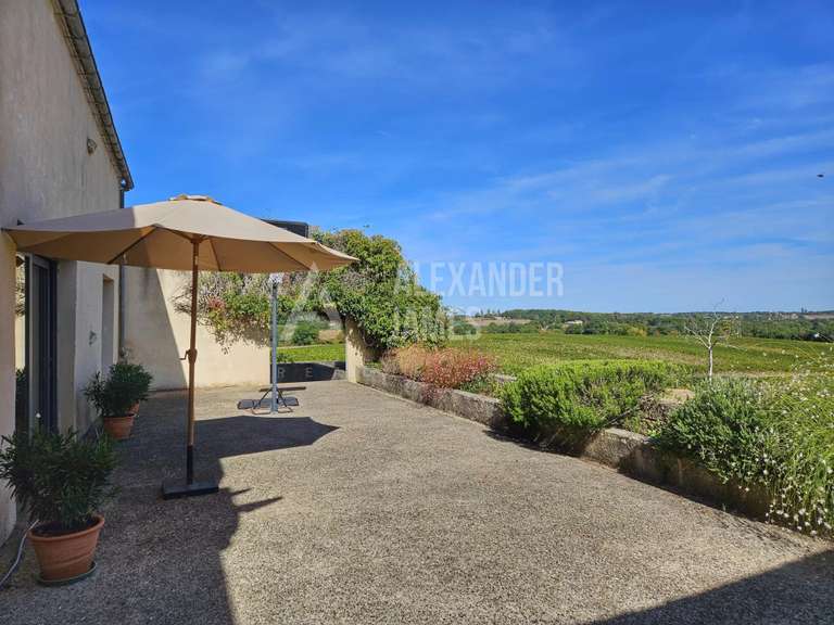 Maison Pellegrue - 3 chambres - 440m²