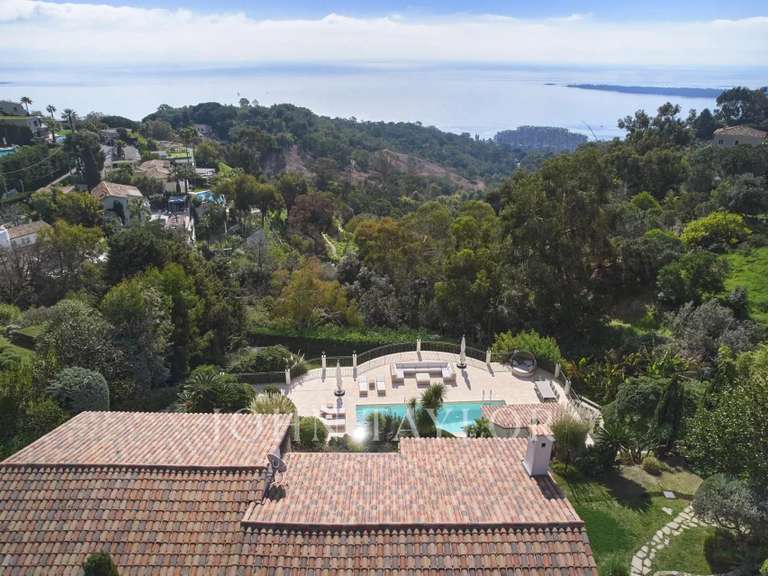 Maison Cannes - 6 chambres - 380m²