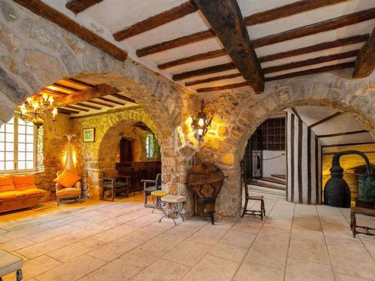 Maison Opio - 10 chambres - 700m²