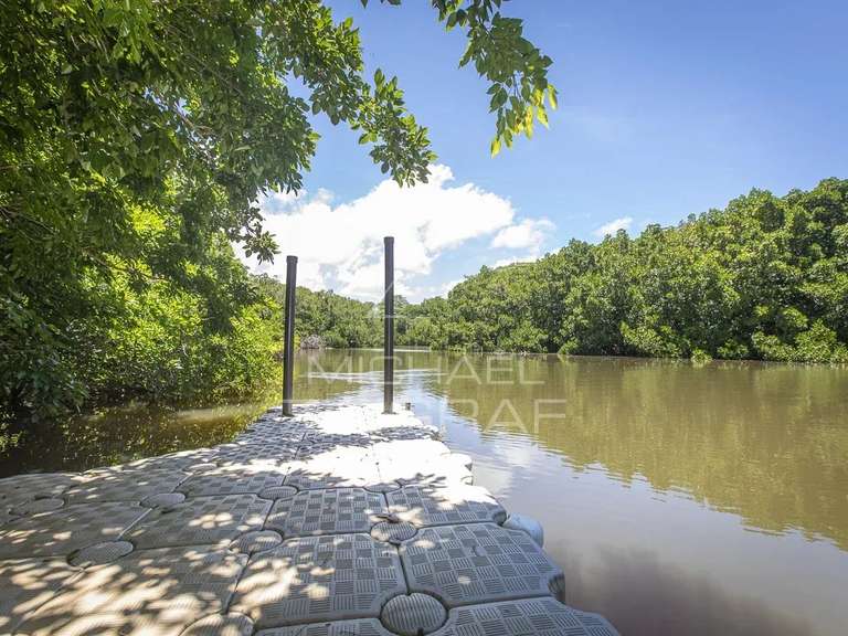 House Auterive - 5 bedrooms - 784m²