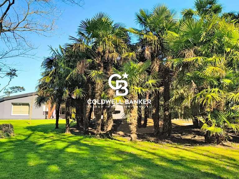 Maison Les Herbiers - 4 chambres - 289m²