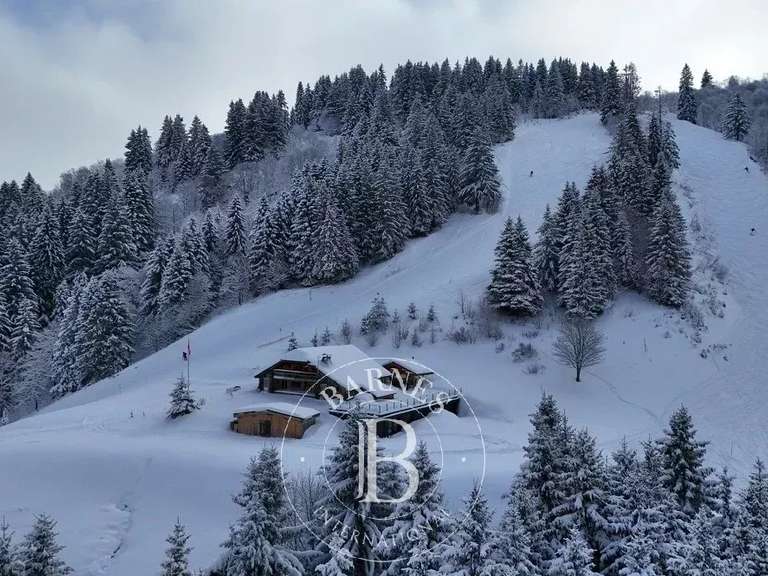 House Megève - 5 bedrooms - 340m²