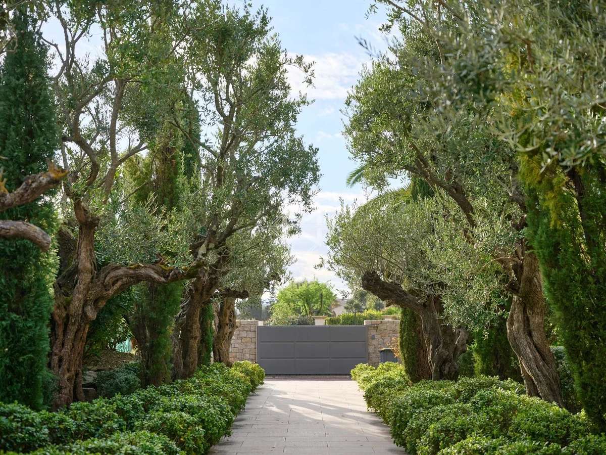 House Saint-Tropez