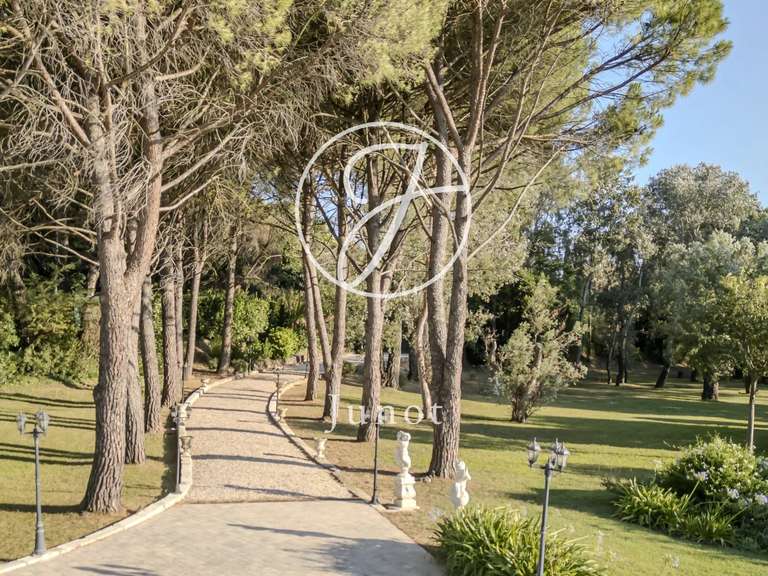 Maison Arles - 9 chambres - 542m²
