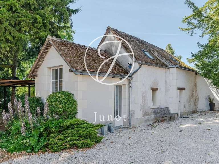 Maison Amboise - 7 chambres - 400m²