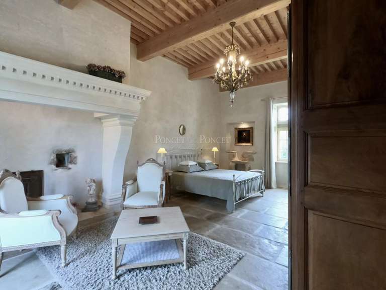 House Barjac - 9 bedrooms - 394m²