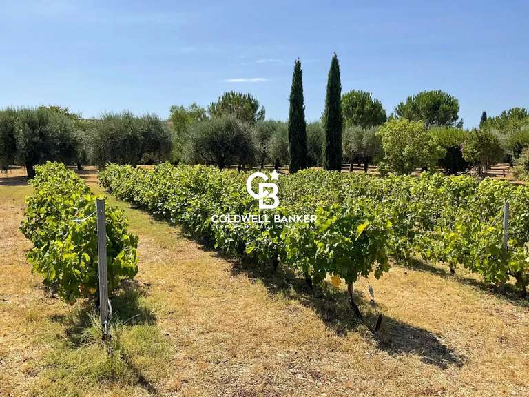 House Solliès-Pont - 6 bedrooms - 430m²