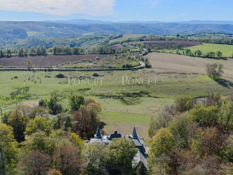 Maison Saint-Pierre-de-Trivisy - 10 chambres - 750m²