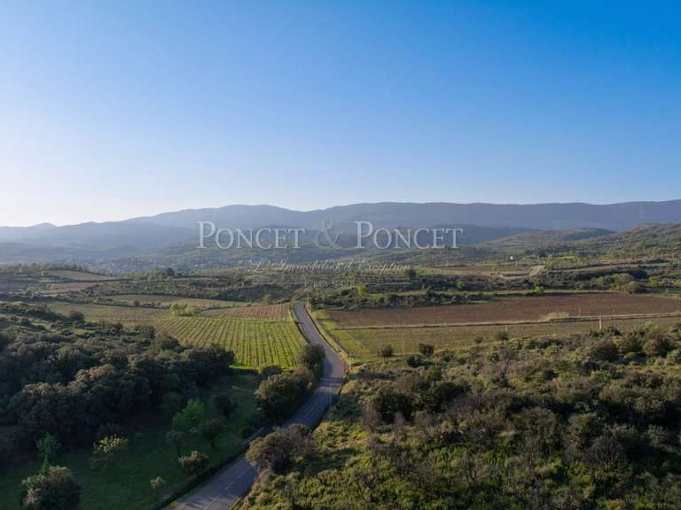 Maison Clermont-l'Hérault - 8 chambres - 450m²