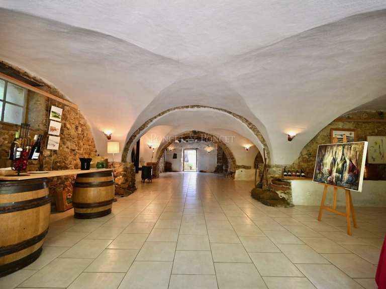 House Clermont-l'Hérault - 10 bedrooms - 495m²
