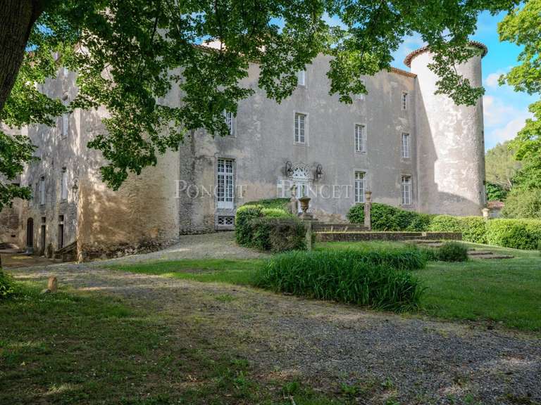 Maison Plaigne - 16 chambres - 900m²