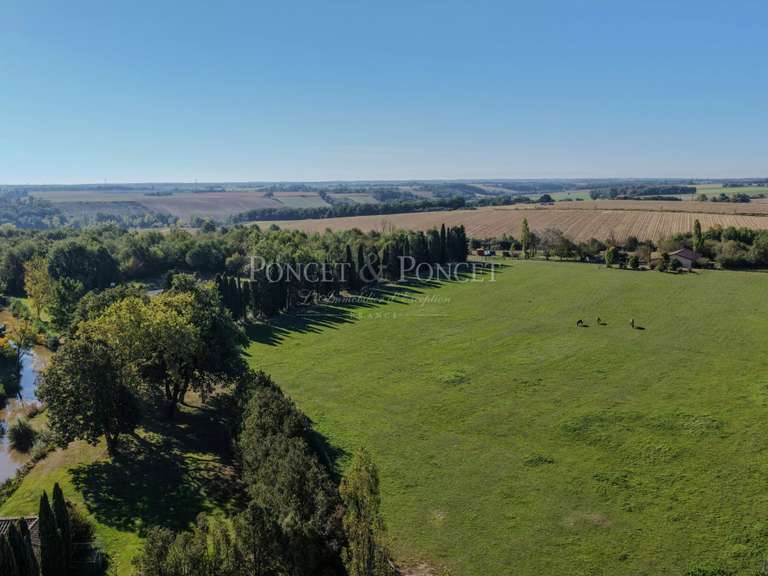 Maison Montauban - 10 chambres - 550m²