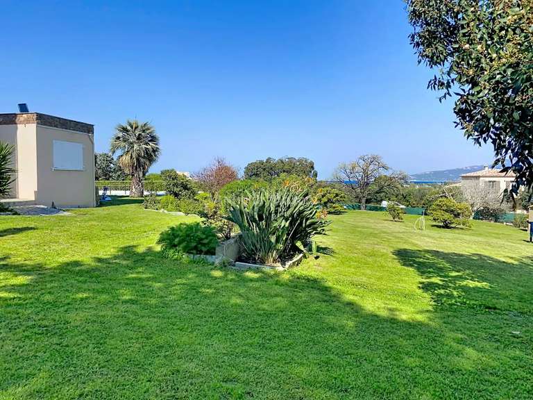 Maison Calvi - 5 chambres - 318m²