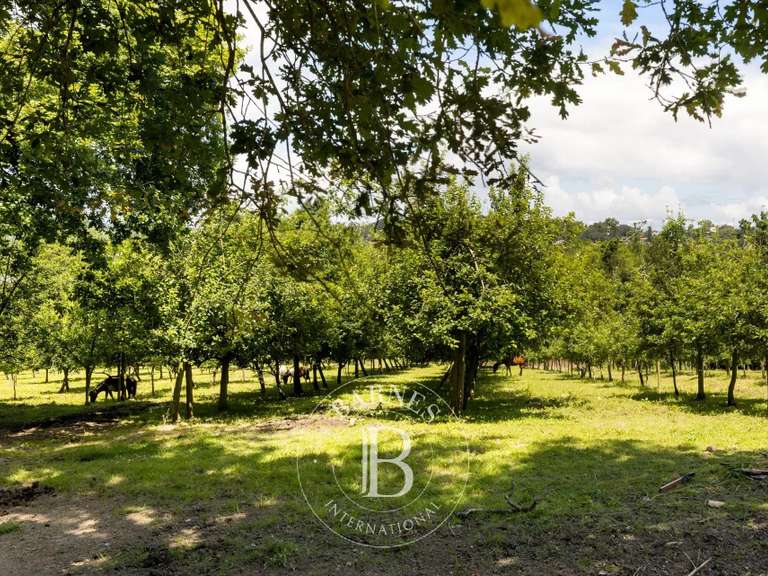 House Urrugne - 750m²