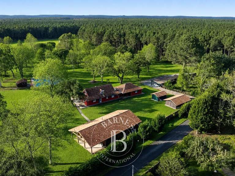 Maison Linxe - 8 chambres - 390m²