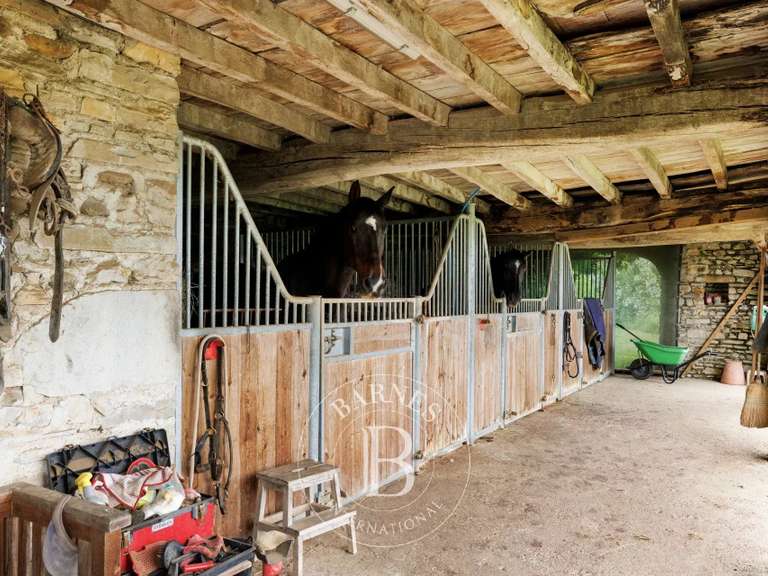 Maison Pau - 5 chambres - 310m²