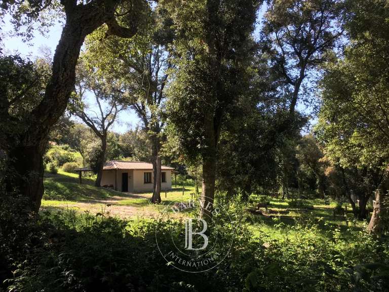 Maison Porto-Vecchio - 4 chambres - 229m²