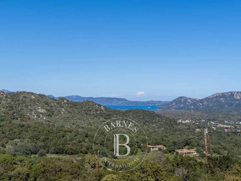 Maison Porto-Vecchio - 6 chambres - 220m²