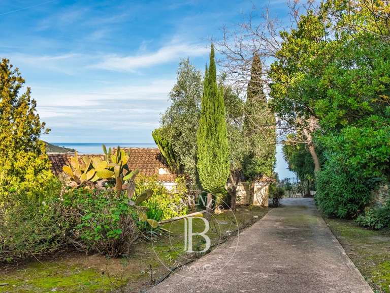 Maison Saint-Florent - 4 chambres - 250m²