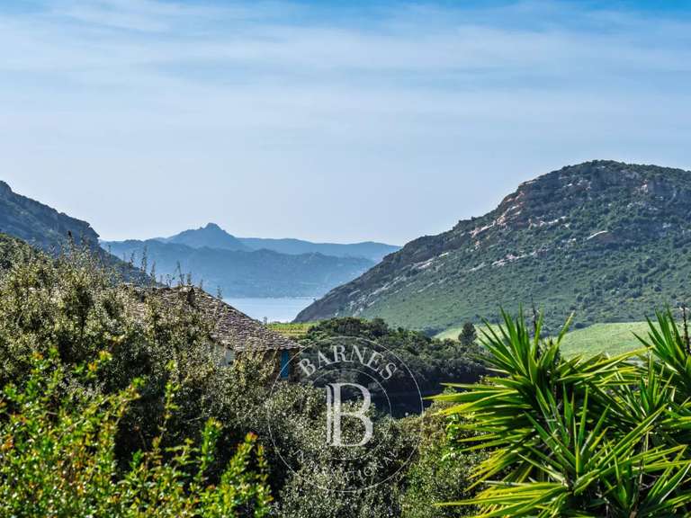 Maison Patrimonio - 3 chambres - 261m²