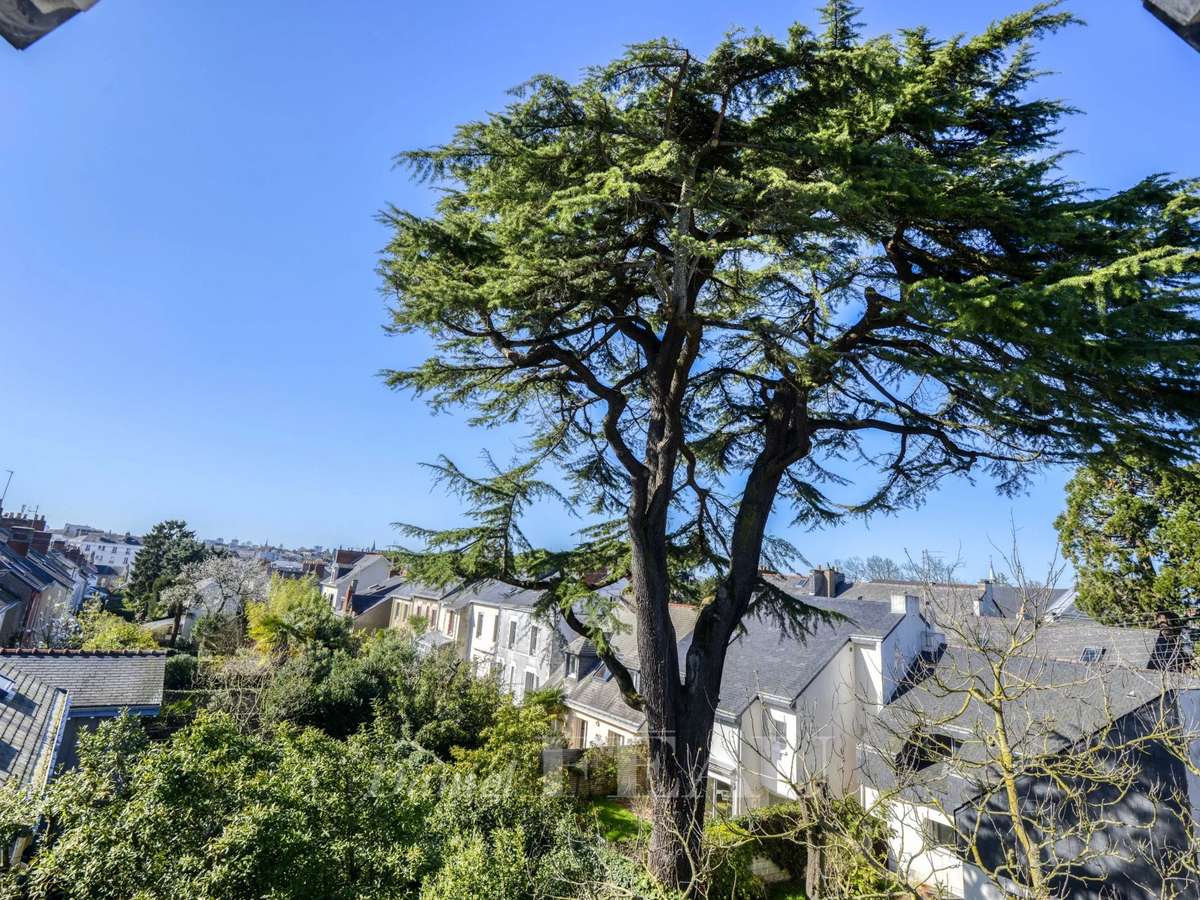 Maison Nantes Saint-Clément - Jardin des plantes