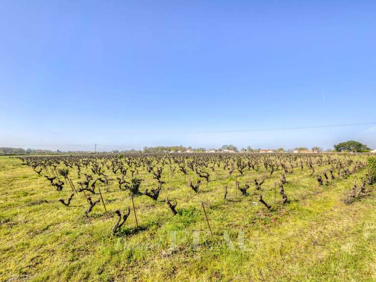 House Vertou - 4 bedrooms - 165m²