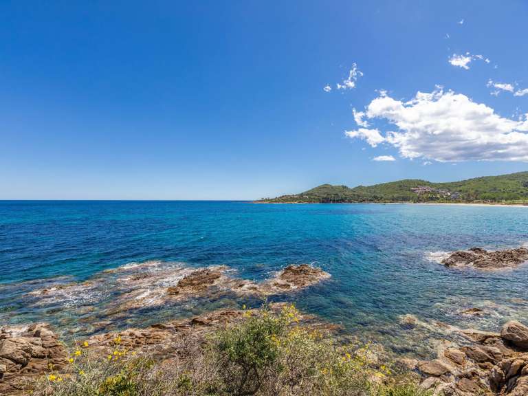 Maison avec Vue sur mer Sari-Solenzara - 7 chambres - 525m²