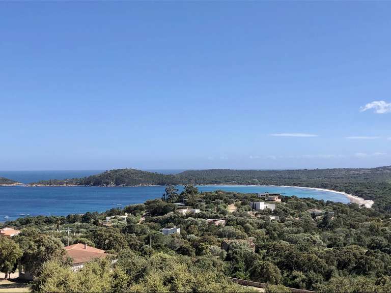 Maison Zonza - 5 chambres - 230m²