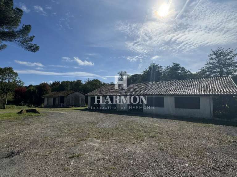 Maison Magescq - 360m²