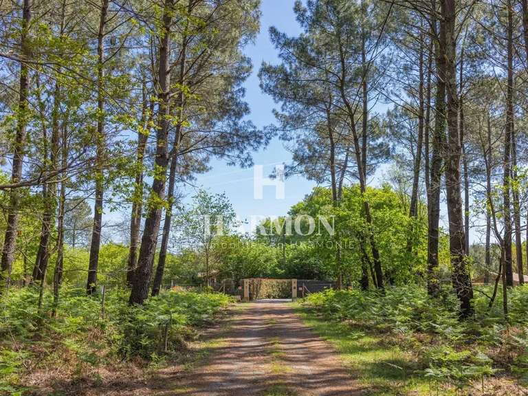 Maison Sanguinet - 6 chambres - 210m²