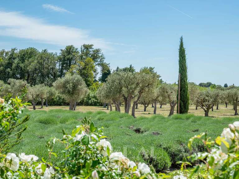 Maison Maussane-les-Alpilles - 4 chambres - 350m²