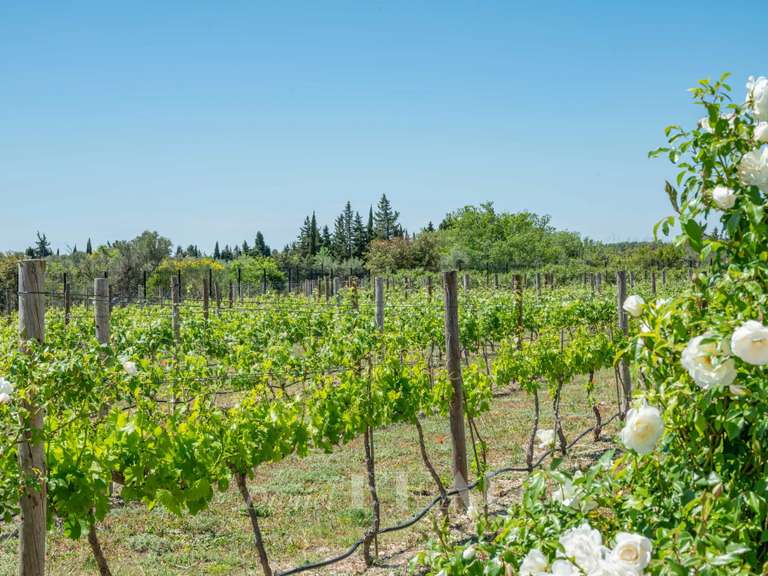 Maison Maussane-les-Alpilles - 4 chambres - 350m²